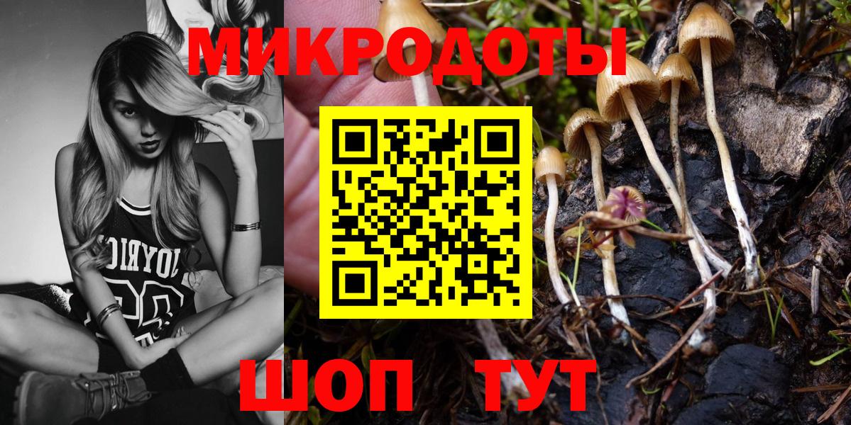 Галлюциногенные грибы MAGIC MUSHROOMS  Галлюциногенные грибы прущие грибы  Канаш  Вход с VPN 